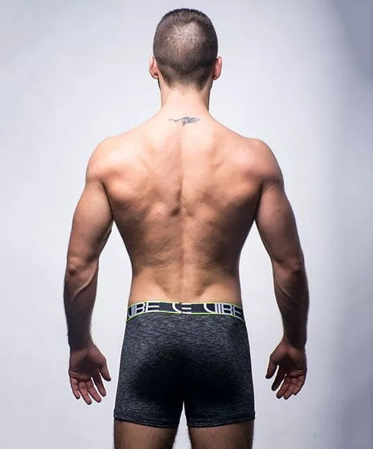 Andrew Christian Vibe Sports &amp; Workout Tagless prailginti šortukai