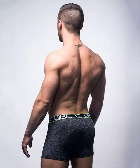 Andrew Christian Vibe Sports &amp; Workout Tagless prailginti šortukai